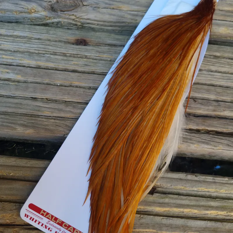 Whiting 1/2 Pro-Grade Dry Fly Rooster Cape in Medium Ginger